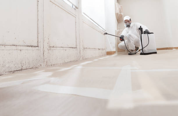 24/7 Emergency Mold Remediation experts in Coral Springs, FL